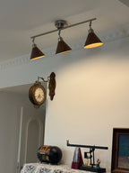 Axiom Directional Ceiling Lamp