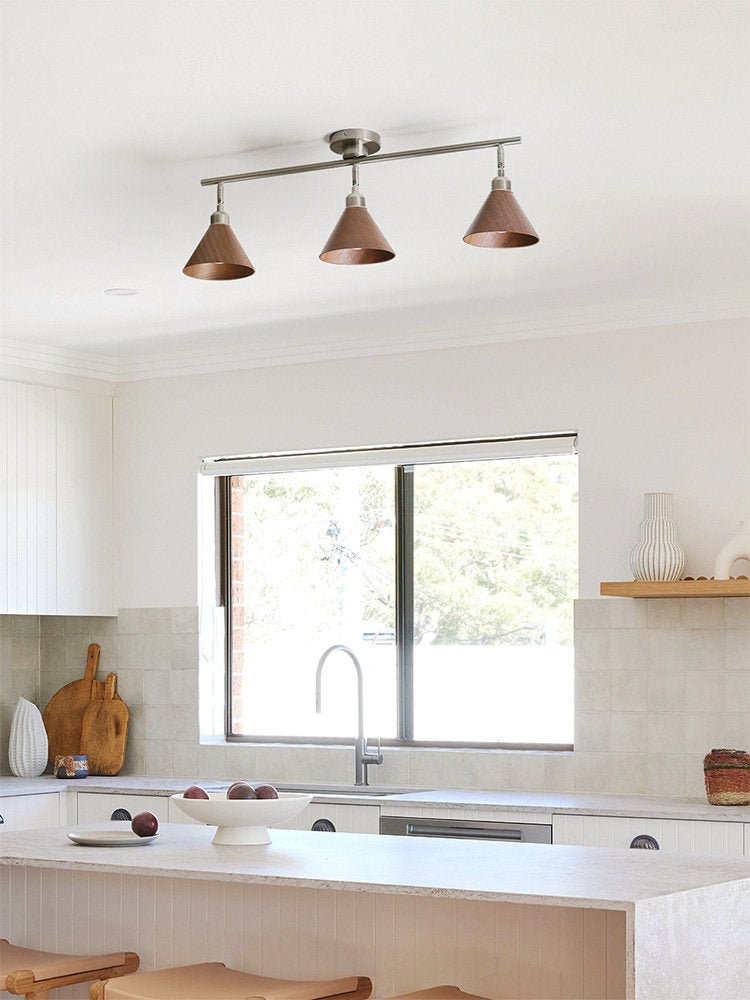 Axiom Directional Ceiling Lamp