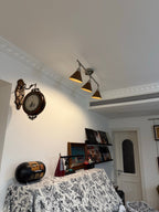 Axiom Directional Ceiling Lamp