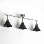 Axiom Directional Ceiling Lamp