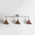 Axiom Directional Ceiling Lamp