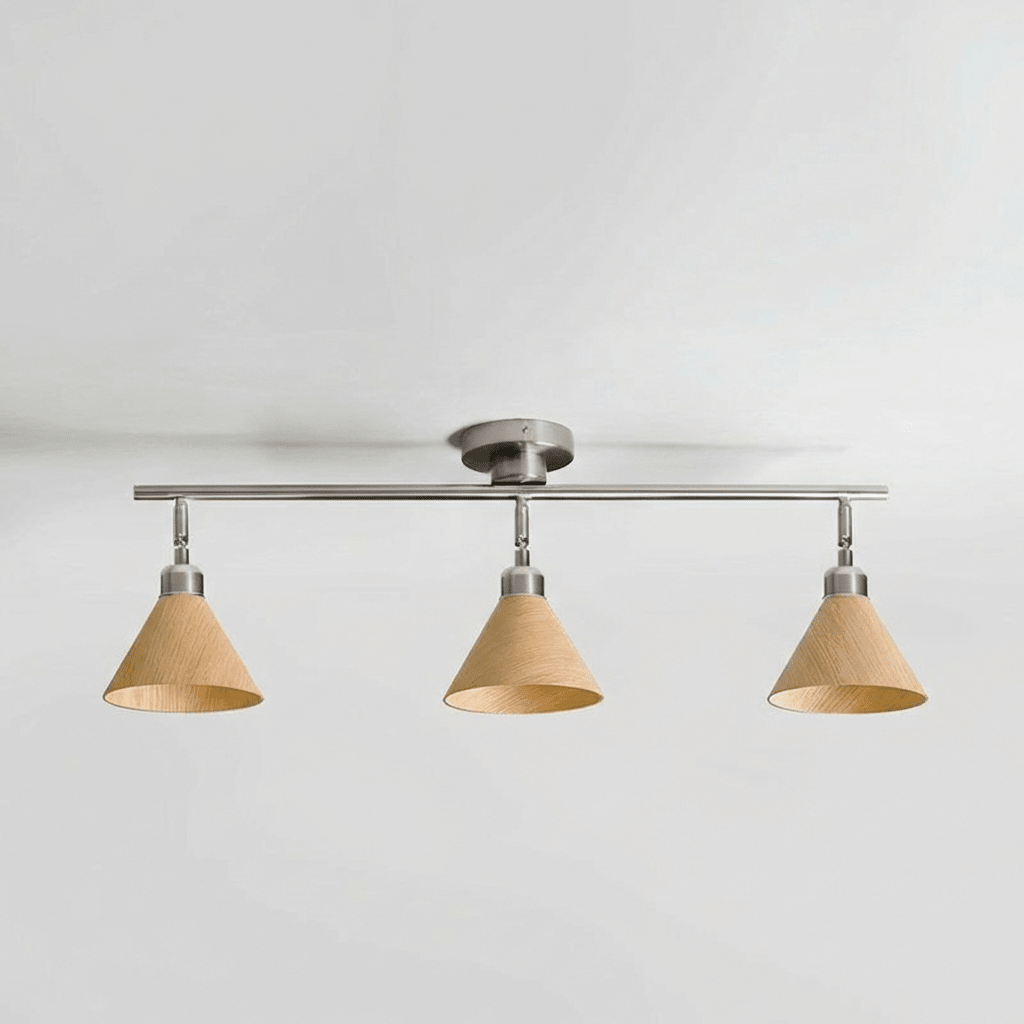 Axiom Directional Ceiling Lamp