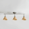 Axiom Directional Ceiling Lamp