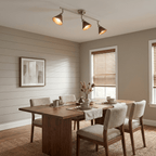 Axiom Directional Ceiling Lamp
