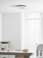 Cimona Flush light