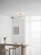 Magic Butterfly Ceiling Lamp