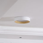 Oreen Ceiling Lamp
