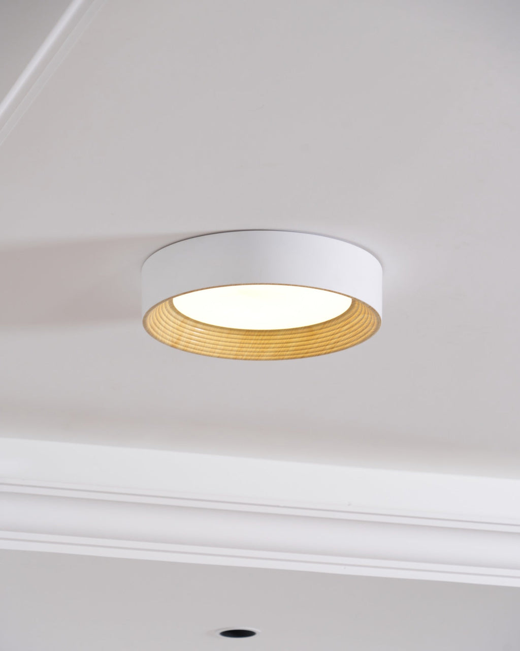 Oreen Ceiling Lamp