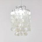 Round Shell Chandelier B