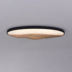 Half-Mountain Ceiling Lamp