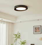 Kaelen Duet Ceiling Lamp