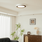 Kaelen Duet Ceiling Lamp