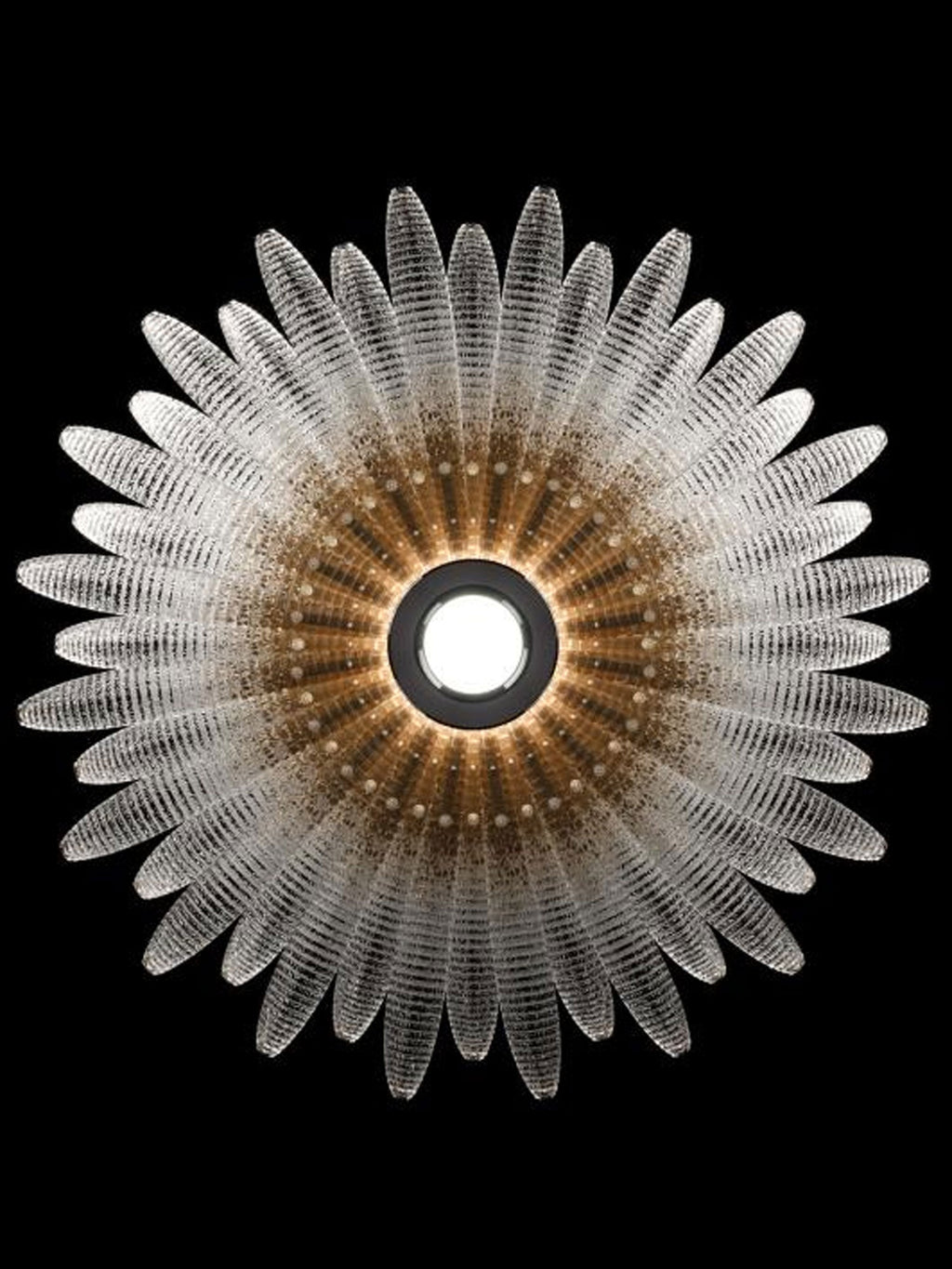 Aurelia Glass Petal Chandelier
