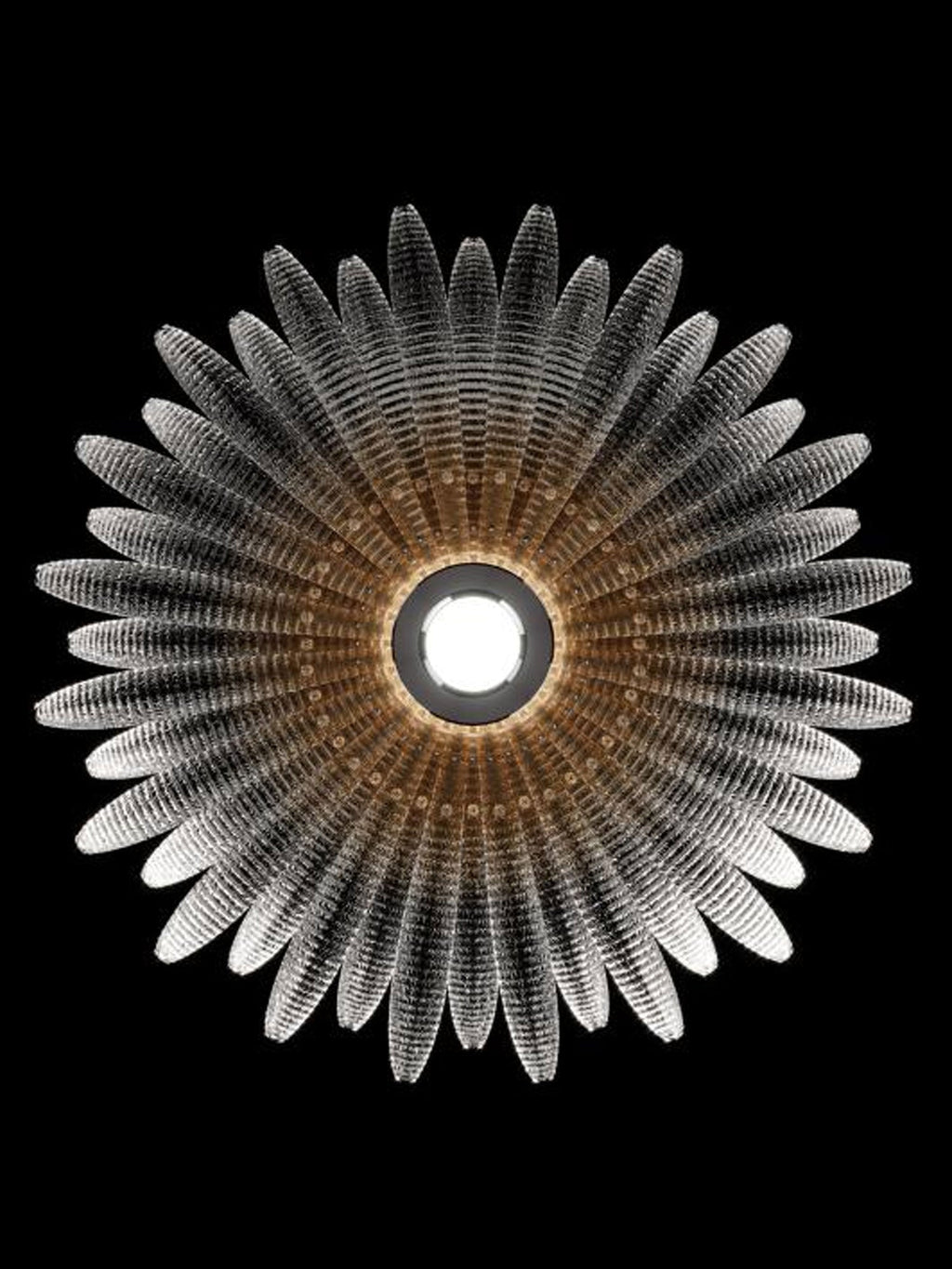 Aurelia Glass Petal Ceiling Light