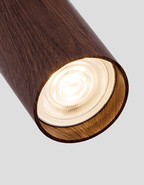Auric Track Light
