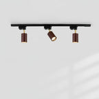 Auric Track Light