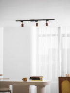 Auric Track Light