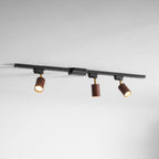 Auric Track Light