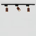 Auric Track Light