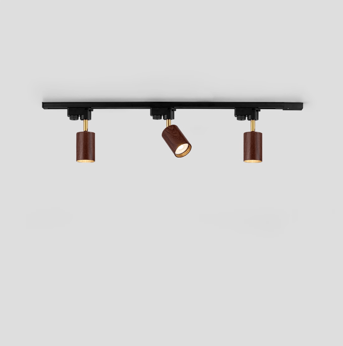 Auric Track Light