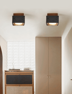 Lava Cube Ceiling Lamp
