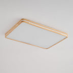 Cirro Ceiling Light