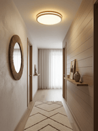 Cirro Ceiling Light