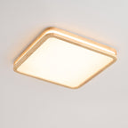 Cirro Ceiling Light