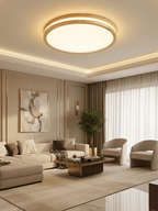 Cirro Ceiling Light