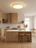 Cirro Ceiling Light