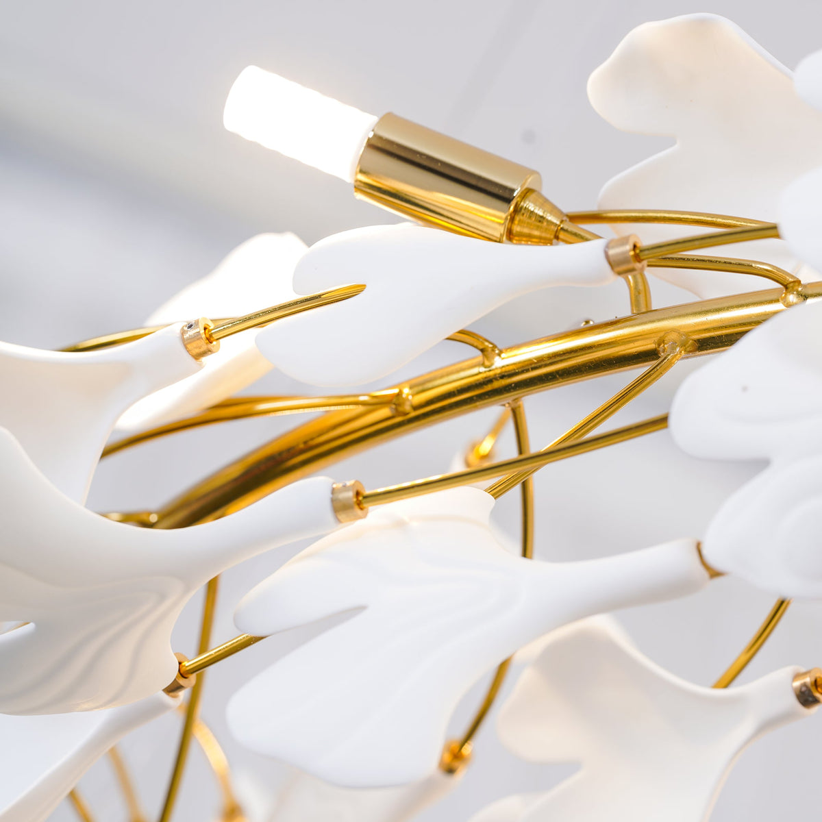 Gingko Halo Chandelier