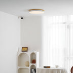 Zara Circular Wood Ceiling Lamp