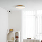 Zara Circular Wood Ceiling Lamp