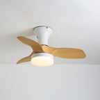 Brisa Ceiling Fan Light