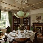Aurelia Shell Chandelier