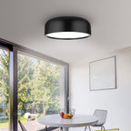 Aero Minimal Ceiling Lamp