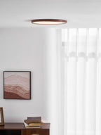 Ultrathin Round Ceiling Light