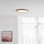 Ultrathin Round Ceiling Light