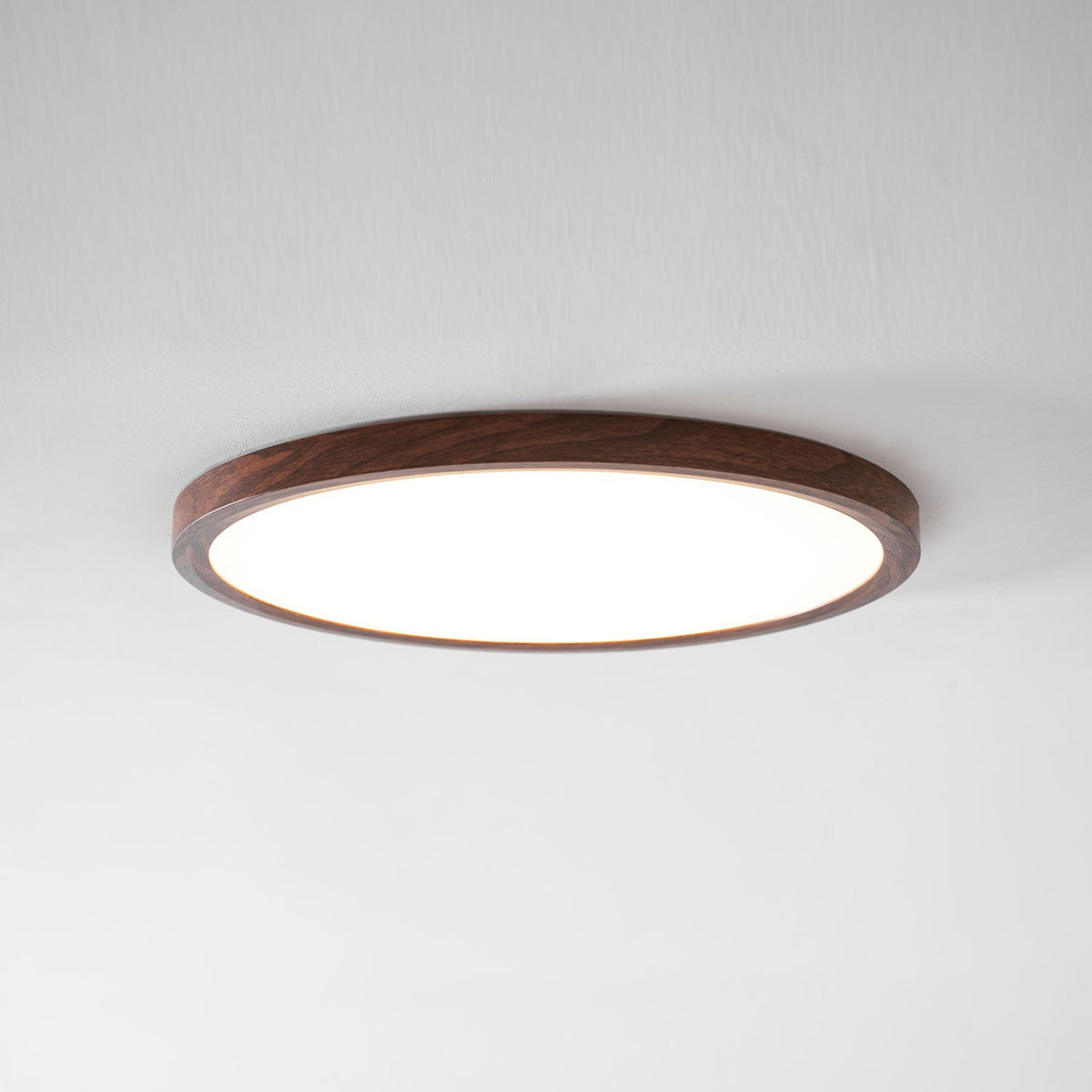 Ultrathin Round Ceiling Light
