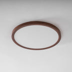Ultrathin Round Ceiling Light