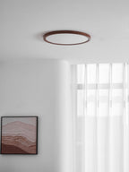 Ultrathin Round Ceiling Light