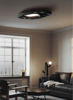 Lianyan Ceiling Lamp