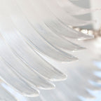 Bird Feather Wings LED Chandelier