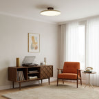 Drift Adjustable Ceiling Lamp