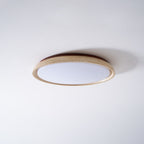 Aureum Edge Ceiling Light
