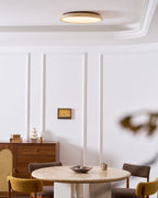 Aureum Edge Ceiling Light