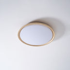 Aureum Edge Ceiling Light