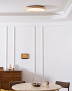 Aureum Edge Ceiling Light