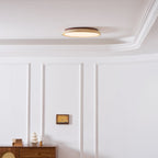 Aureum Edge Ceiling Light
