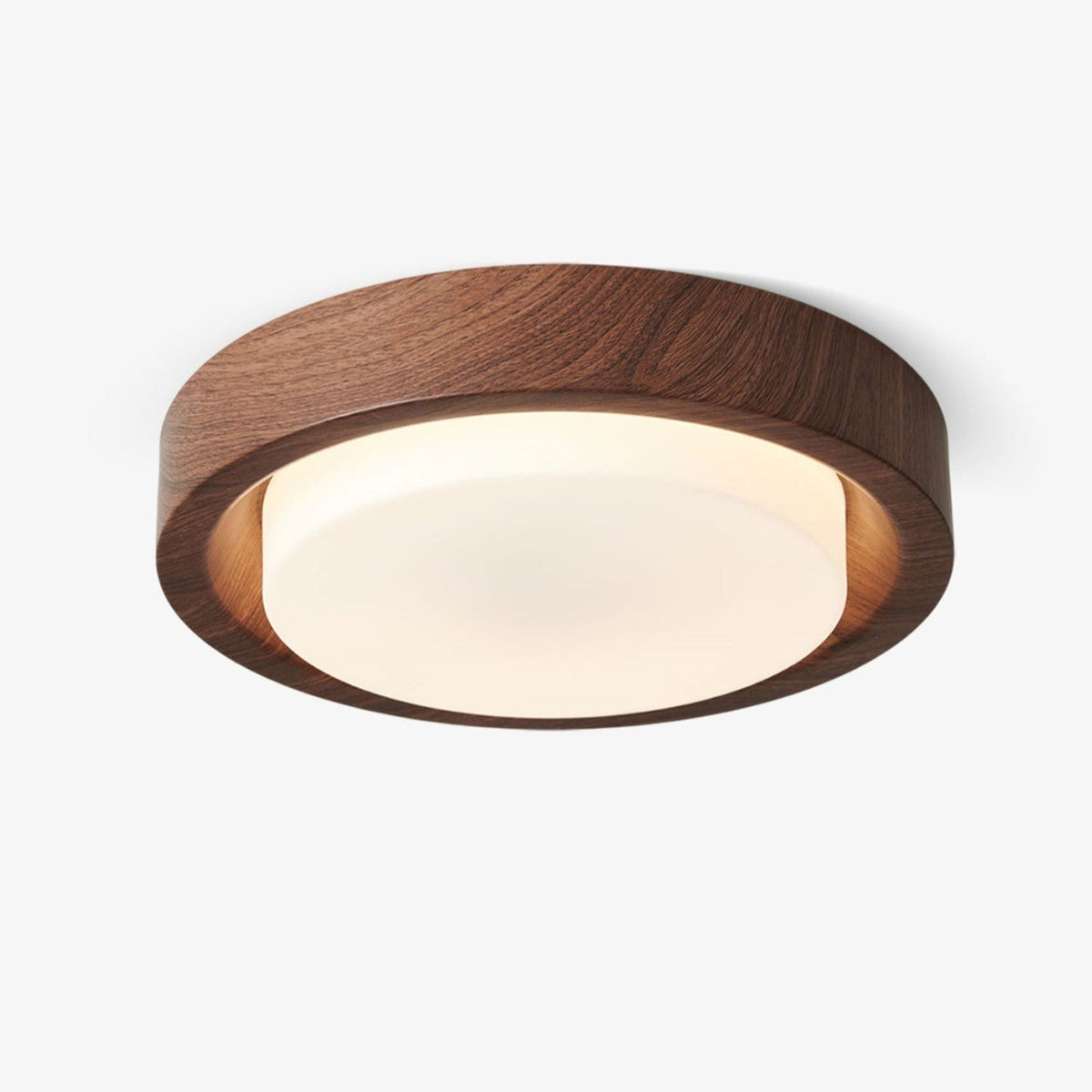 Lunar Ring Ceiling Light